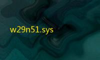 w29n51.sys